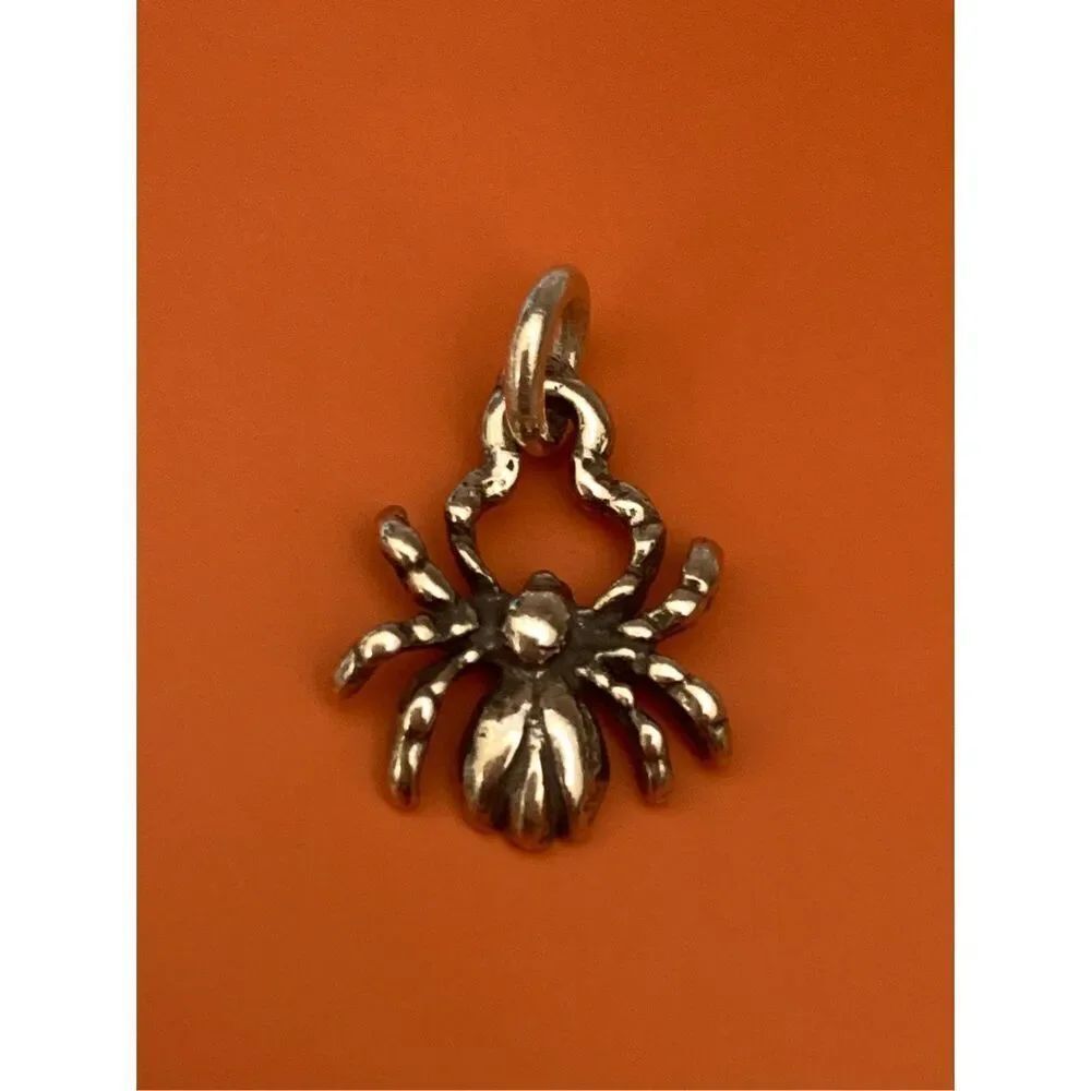 Spider Halloween Vintage Sterling Silver Jewelry Charm #arthropods